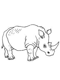 Simple rhino Coloring Page | 1001coloring.com