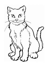 Siberian cat Coloring Page | 1001coloring.com