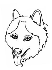 Husky Color Pages Free Coloring Pages For You And Old