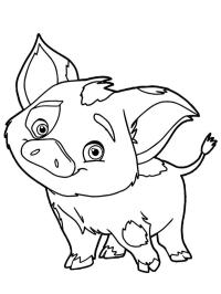 Pua Pig Coloring Page 1001coloring Com